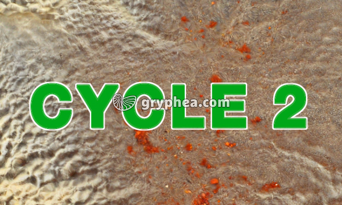 EP Aperçu CYCLE 2-2 - gryphea.org